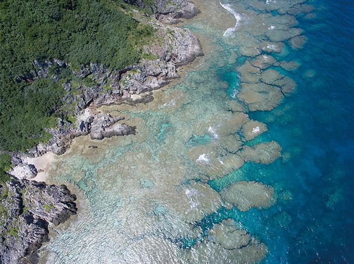 自然 浮現在東海上的碧綠寶石 写真