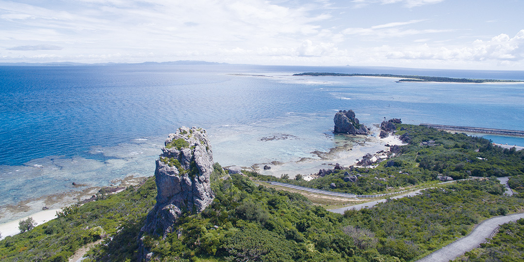 沖繩縣指定天然紀念物 Akara御嶽烏岡櫟與琉球松等植物群落 写真