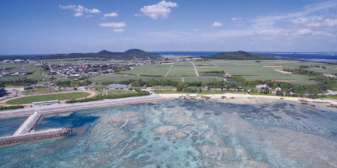 県指定天然記念物 アカラ御嶽のウバメカシ及び琉球松等の植物群落 写真