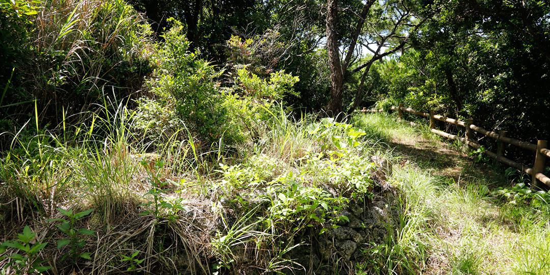 伊是名村指定史迹、名胜 Aaga山烽火台（狼烟台） 写真